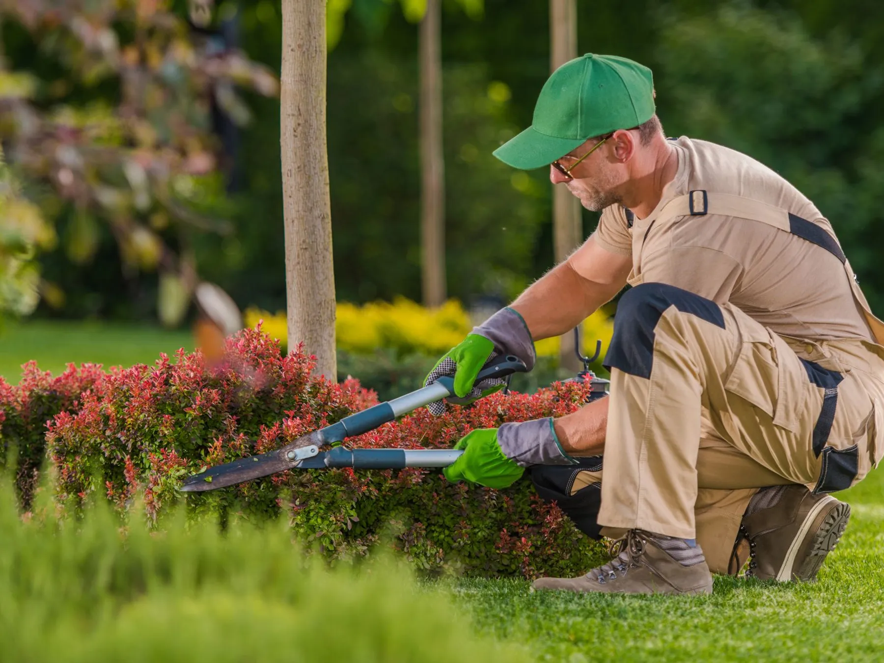 Modern landscaping and garden website visual
